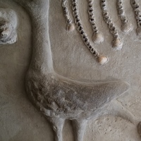 Photo de France - Le Palais idéal du Facteur Cheval